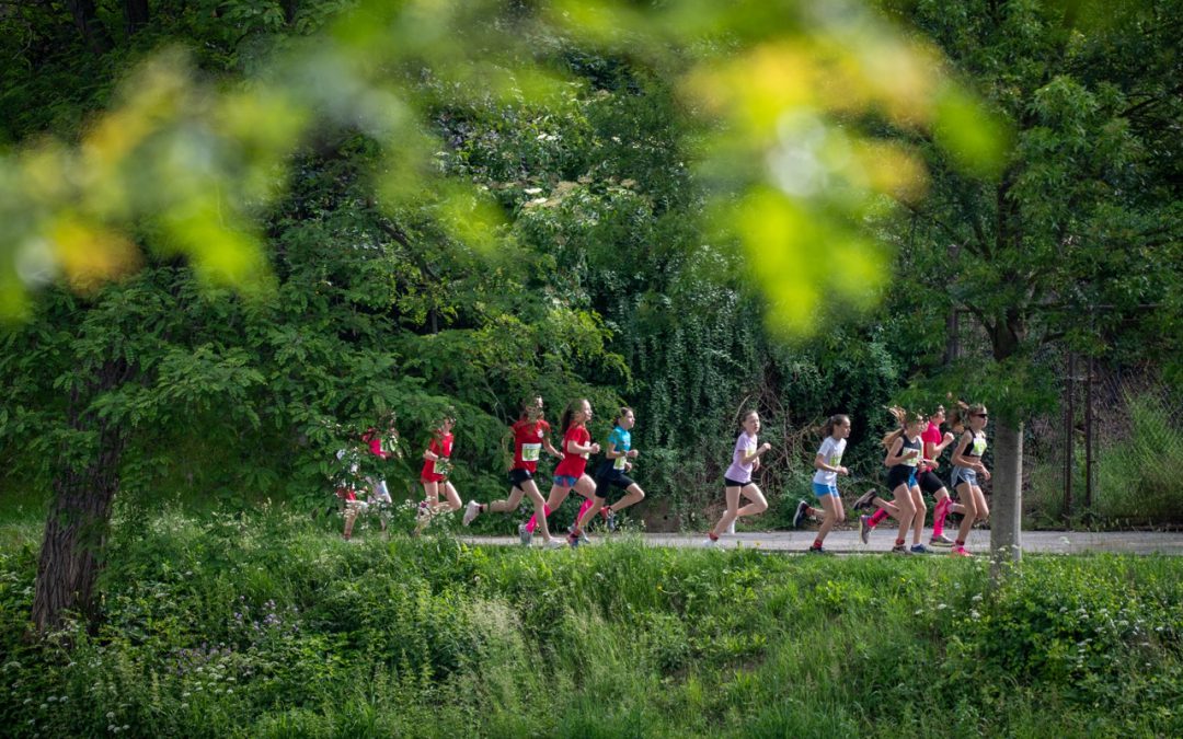 STATISTICKÉ ŠETŘENÍ STAVU ČLENSKÉ ZÁKLADNY ČUS